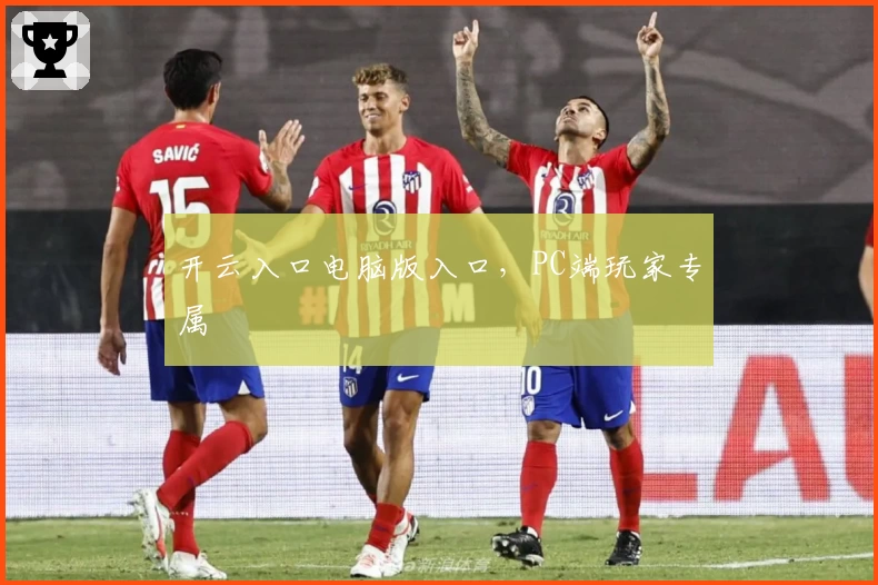 开云入口电脑版入口，PC端玩家专属